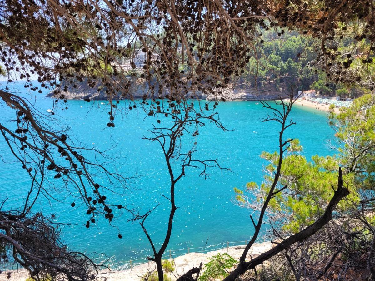 Villetta Roberto Le Macine Di Charme - Pugnochiuso Resort Vieste Eksteriør billede