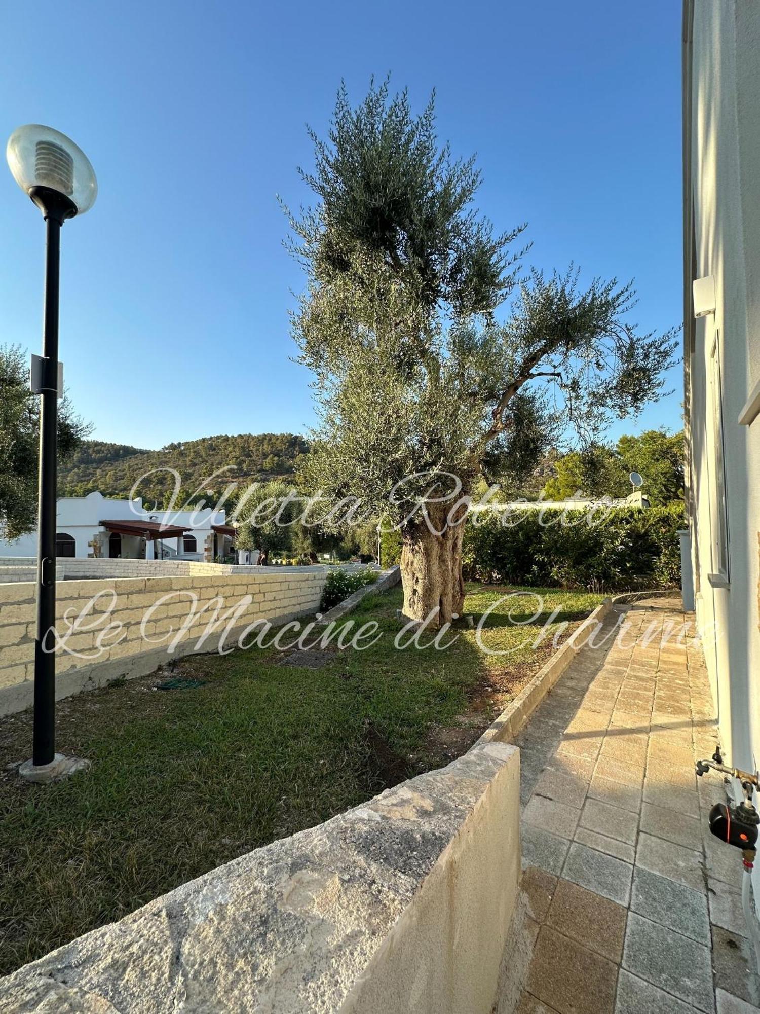 Villetta Roberto Le Macine Di Charme - Pugnochiuso Resort Vieste Eksteriør billede