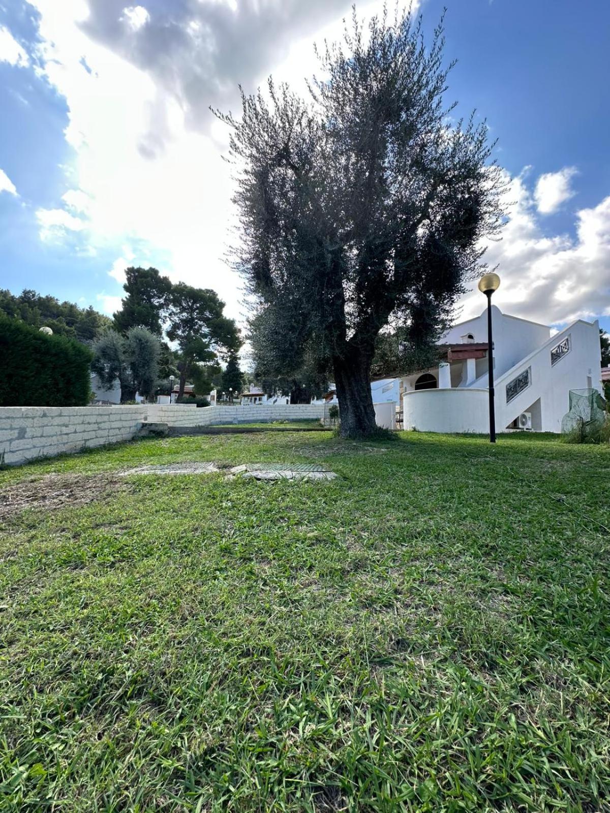 Villetta Roberto Le Macine Di Charme - Pugnochiuso Resort Vieste Eksteriør billede