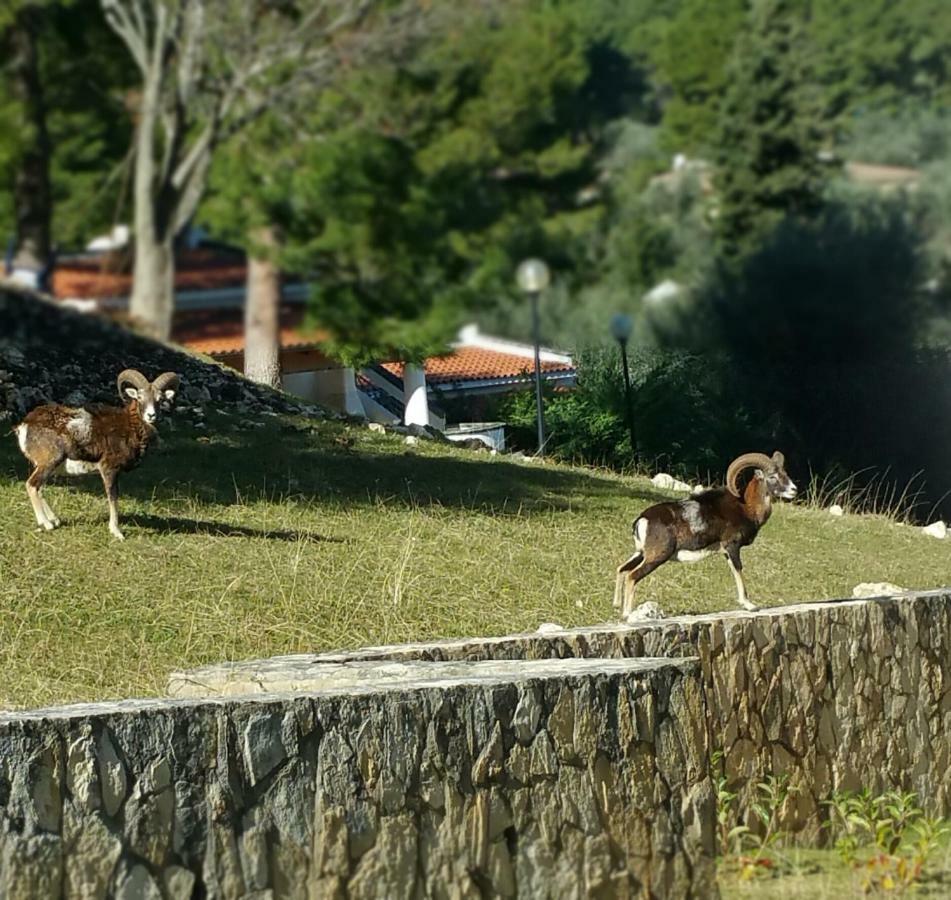 Villetta Roberto Le Macine Di Charme - Pugnochiuso Resort Vieste Eksteriør billede